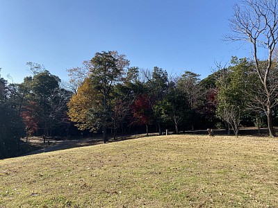 私の秘密基地